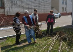 Actions “Clean Environment” and “Plant a Tree”